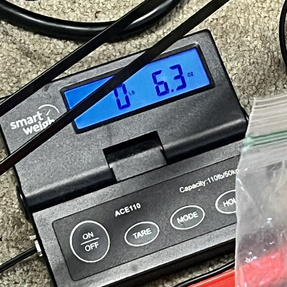 6.3oz Lot Natural Sand Dollars Craft Decor Real Beach Sea Shell Specimens Bulk - Picture 7 of 7